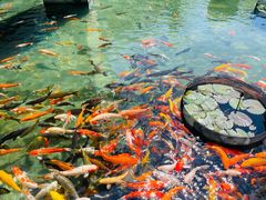 -三亚湾海居雅高铂尔曼度假酒店