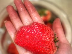 -镇江龙·火锅串串(武侯祠店)