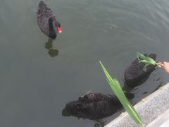 -仙林宾馆-餐厅