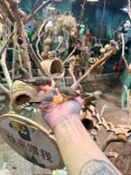 -Zoolung Zoolung动物主题公园(海信广场店)