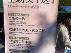 -奈雪的茶(中粮祥云小镇店)