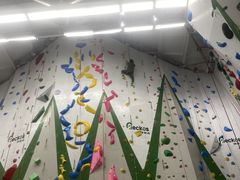-绿壁虎攀岩基地(Tcar店)