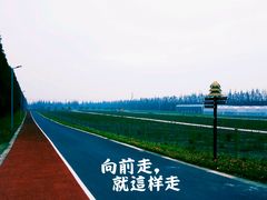 -上海长兴岛郊野公园