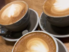 -Wagas沃歌斯(汇智店)