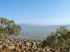 -深圳湾公园(南山区)