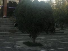 -西宁市东关清真大寺