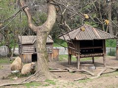 -上海野生动物园