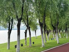 -艾溪湖湿地公园