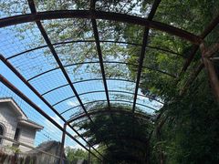-福州动物园