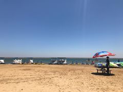 -碧海金沙