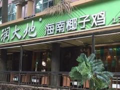门面-春润大地海南椰子鸡(沙井京基百纳广场店)