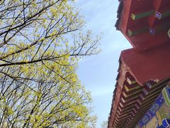 -青州市云门山风景区