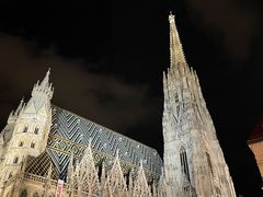 -斯蒂芬主教座堂(Stephansdom)