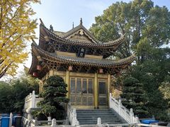 -上海东林寺(金山区)