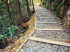 -南山植物园
