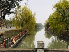 -九科绿洲