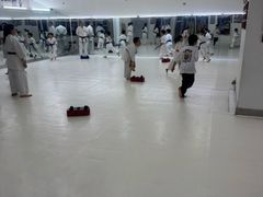 -极真空手道修远道场