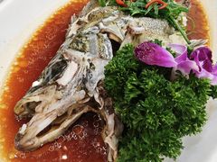 -小贝壳酒楼(经九路店)