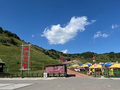 -关山草原