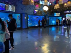 -烟台海昌鲸鲨海洋公园