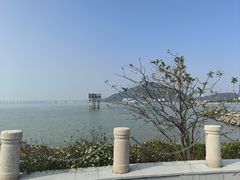 -芒洲湿地公园