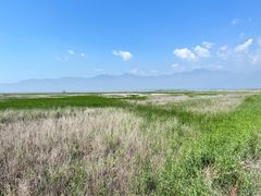 -野鸭湖国家湿地公园