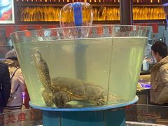 -魏铭鱼头捞饭(晋阳路店)