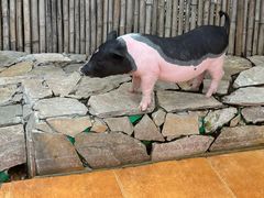 -HERRE·FARM 赫尔露营农场·团建聚会包场