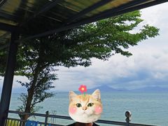 -七鲜渔港美食餐厅(巽寮湾海景店)