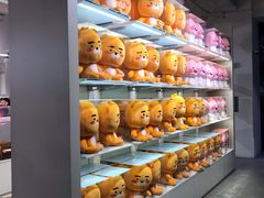 -KAKAO FRIENDS(弘大店)