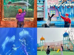 -华夏文旅海洋公园