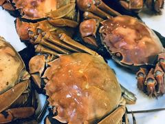 清蒸大闸蟹-宜宾海鲜酒家·三十年老字号