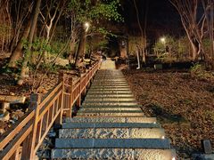-五女山景区