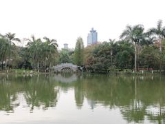 -金花茶公园