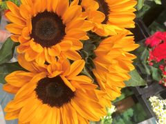 -盒马鲜生(帝斯曼店)