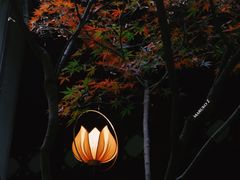 -灵隐飞来峰景区
