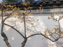 -个园