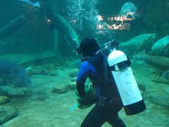 -华夏文旅海洋公园