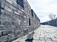 -慕田峪长城