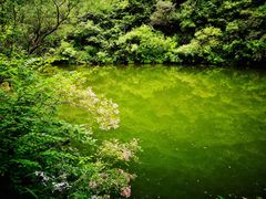 入口湖水静谧-双龙峡