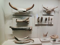 -齐齐哈尔市博物馆