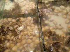 -星伦多自助料理(华润万象城店)