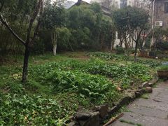 -小河无名面馆