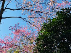 -火炉山森林公园