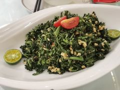 中宁枸杞苗-宁夏国强手抓羊肉·清真菜(未央路凤三店)