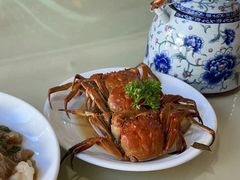 -品味楼·醉卤·酱排骨·无锡特色菜