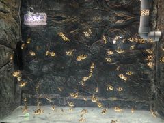 -苏州海洋馆