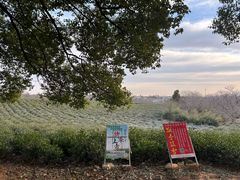 -敬亭山风景名胜区