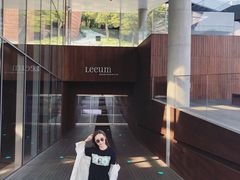 -三星美术馆Leeum