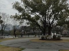 -月湖风景区